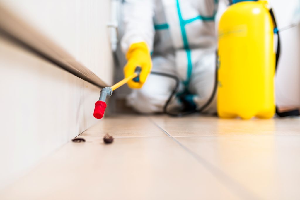 obbligo di deblattizzazione condominio